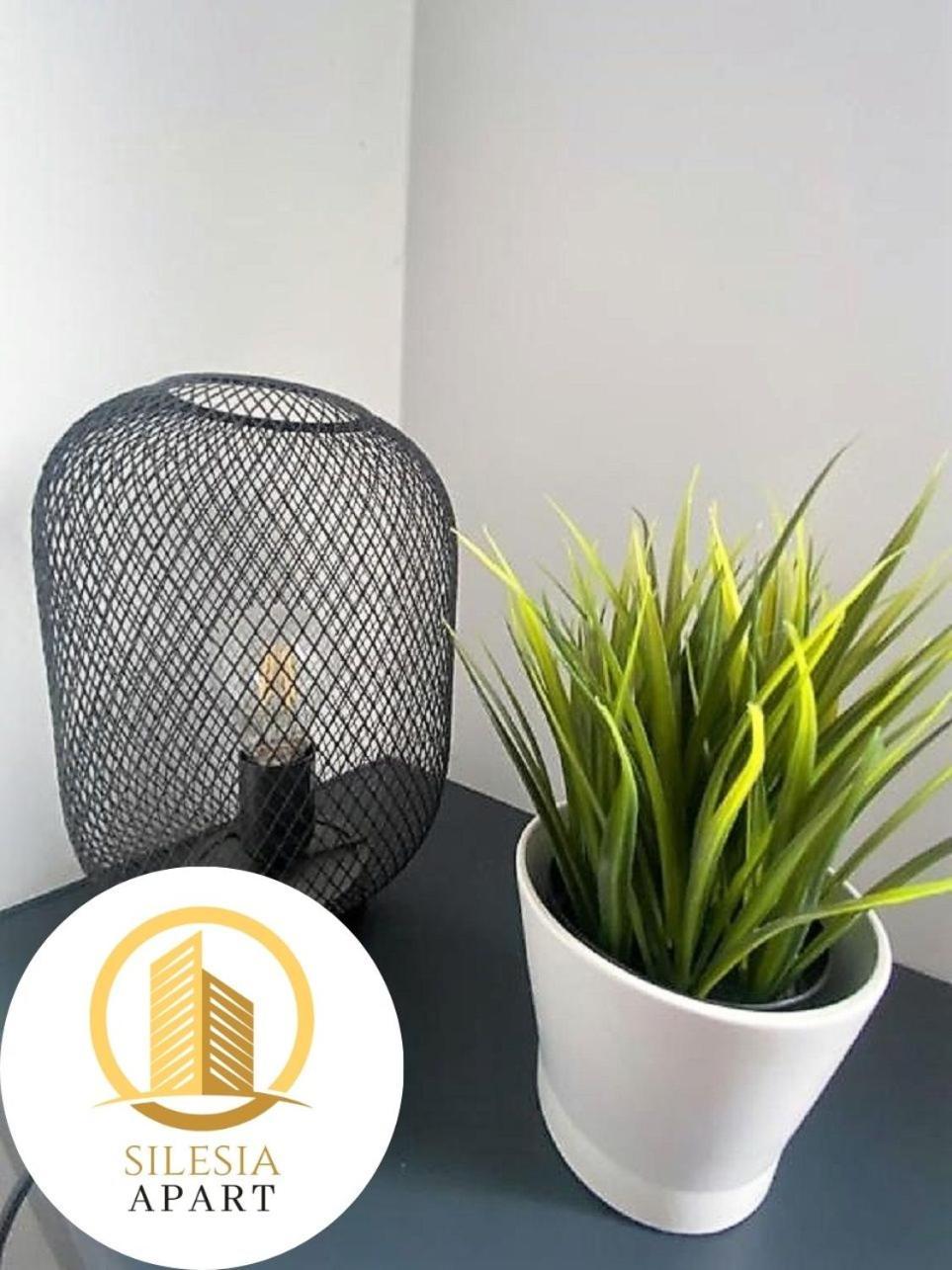 טיצ'י Apartament Szary מראה חיצוני תמונה