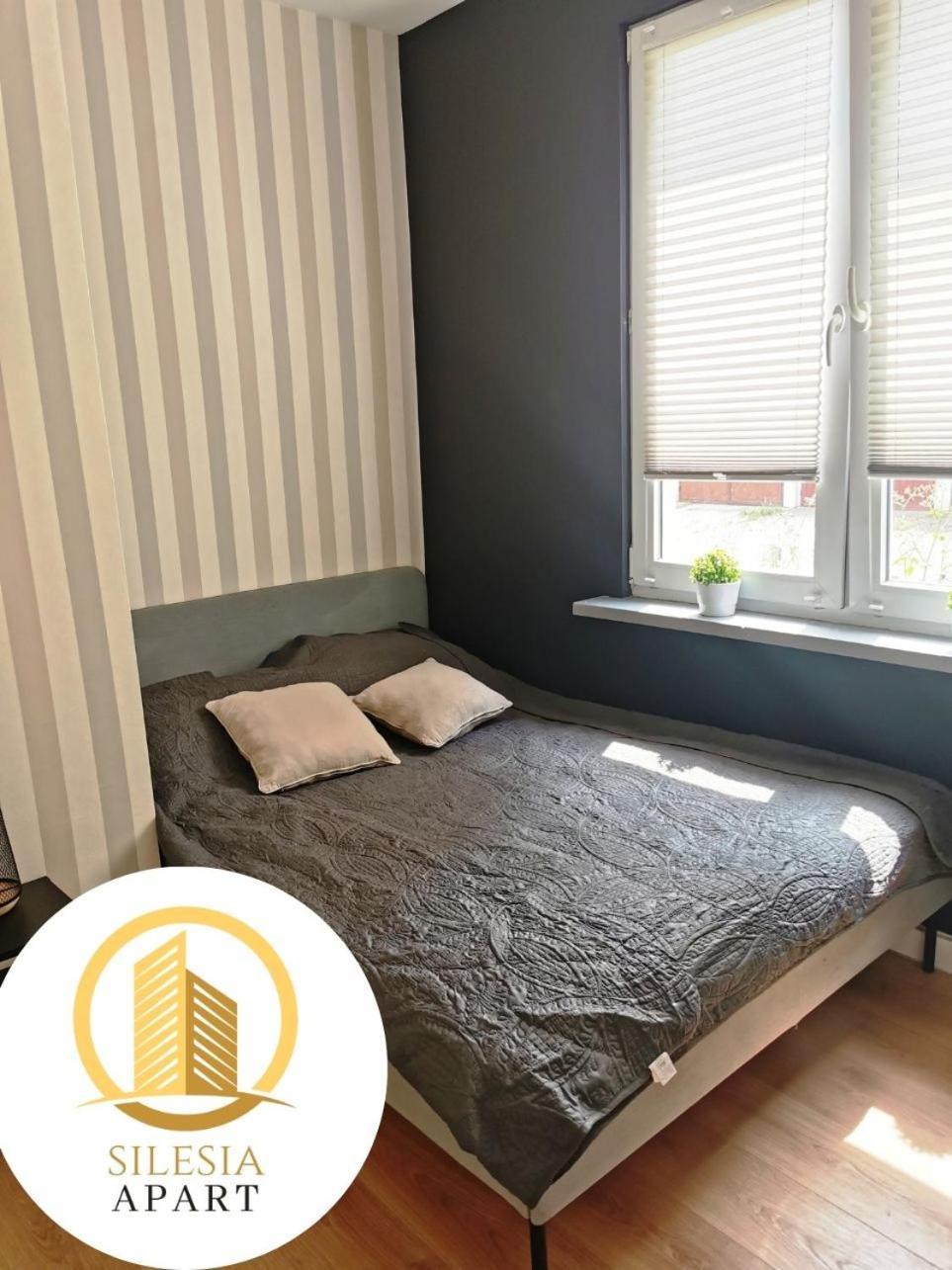 טיצ'י Apartament Szary מראה חיצוני תמונה